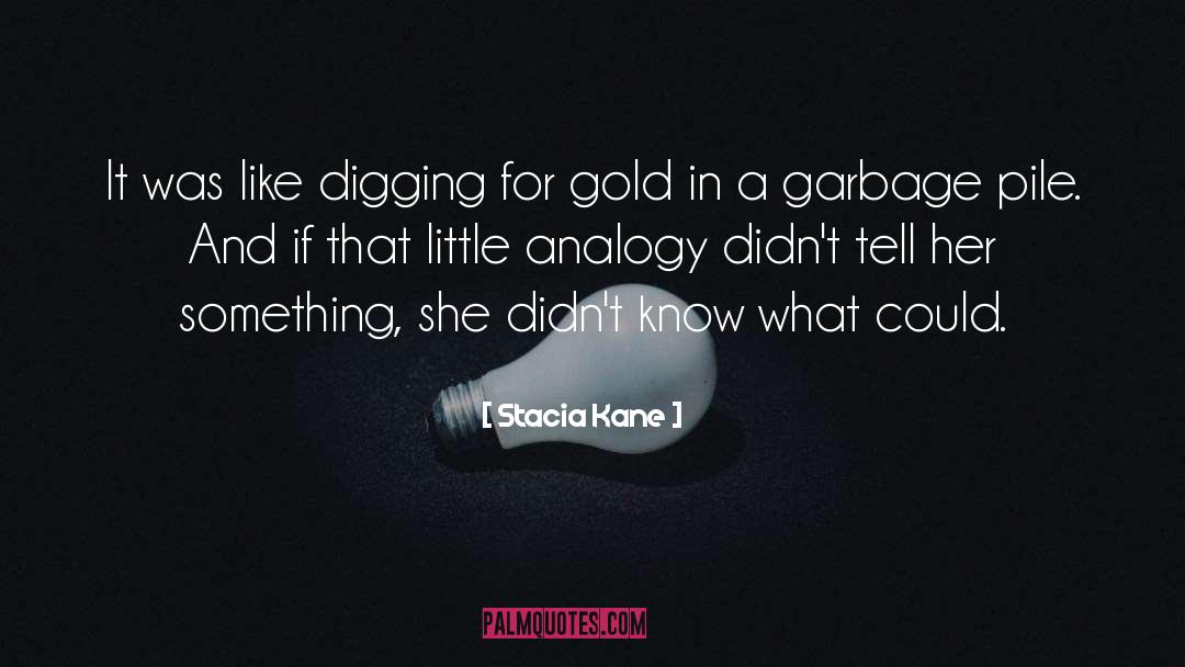 Stacia Kane Quotes: It was like digging for