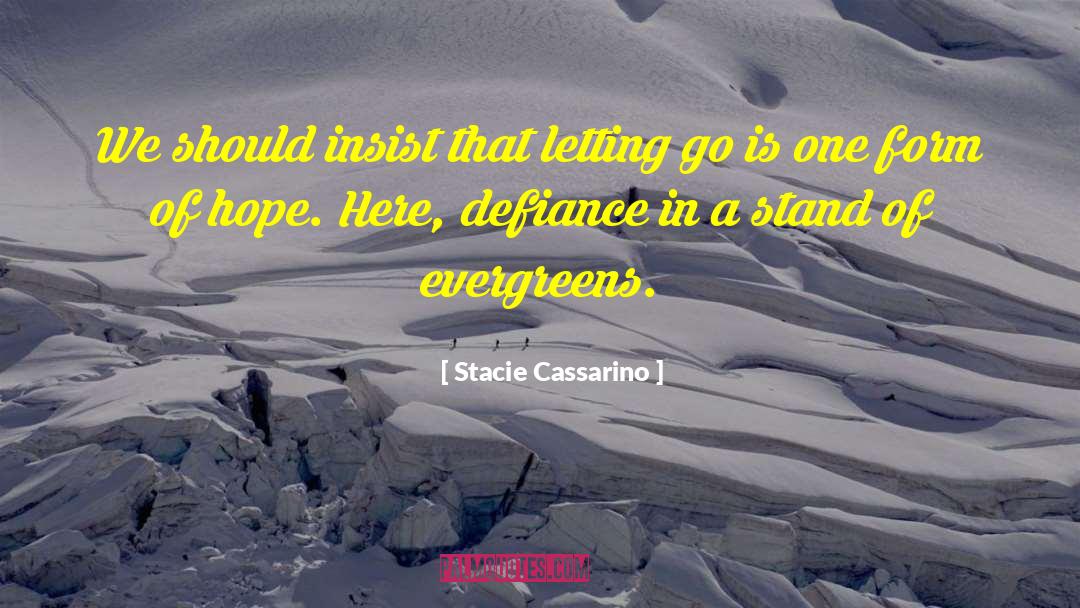 Stacie Cassarino Quotes: We should insist that letting