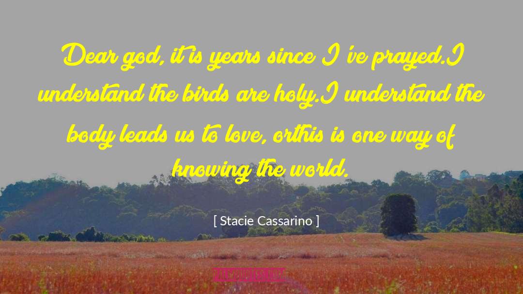 Stacie Cassarino Quotes: Dear god, it is years