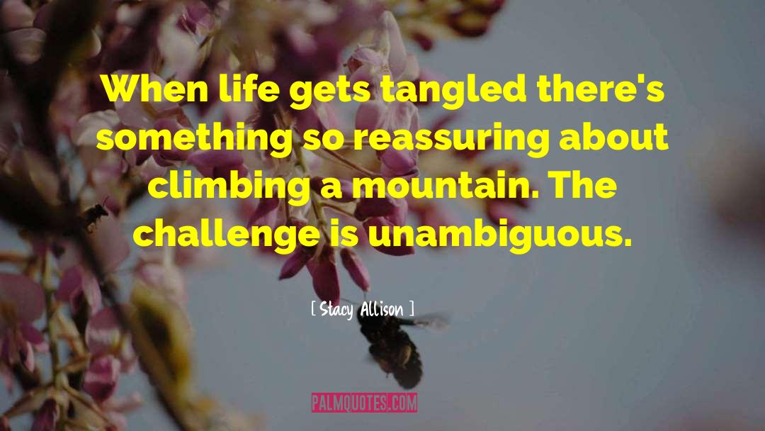 Stacy Allison Quotes: When life gets tangled there's