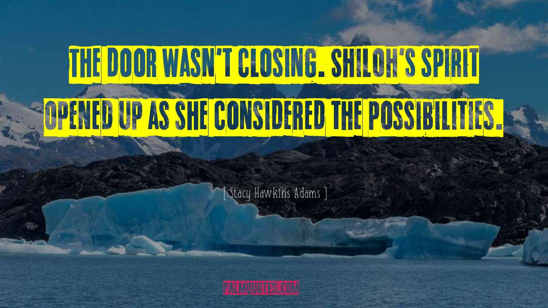 Stacy Hawkins Adams Quotes: The door wasn't closing. Shiloh's