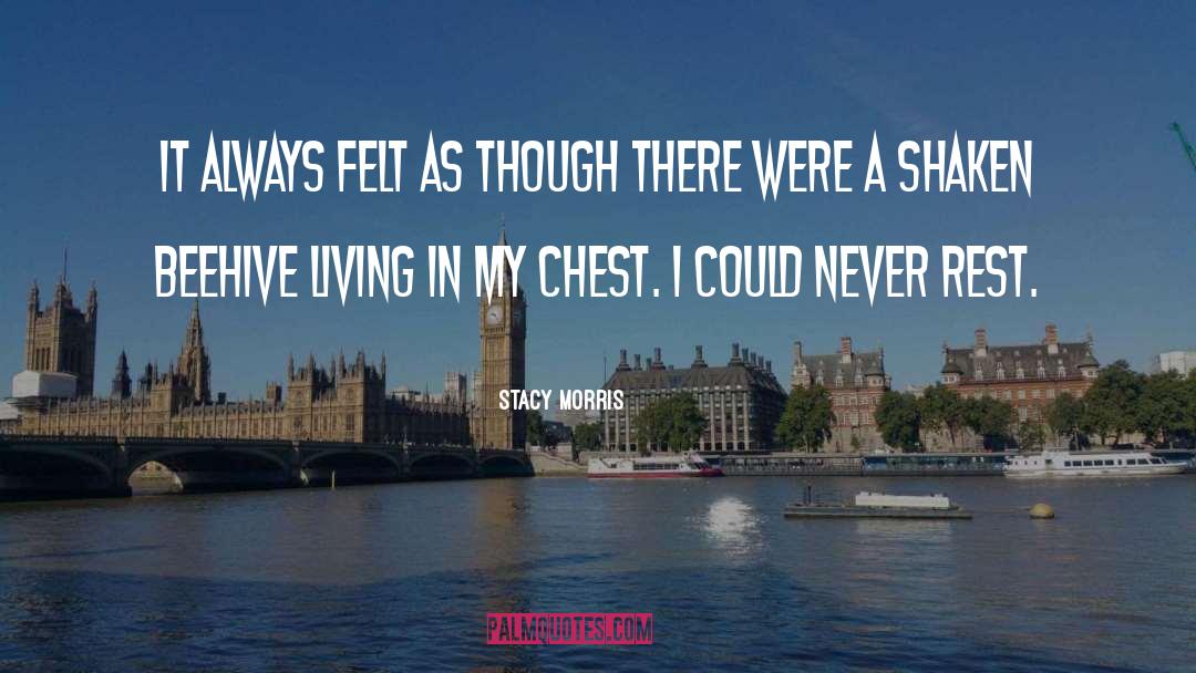 Stacy Morris Quotes: It always felt as though