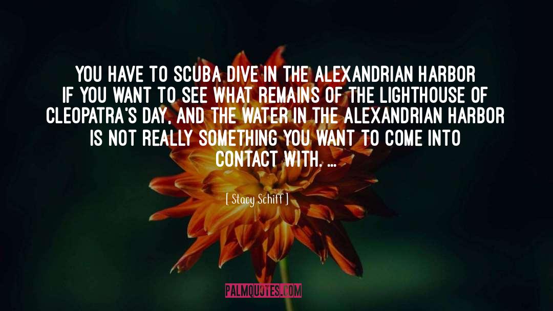 Stacy Schiff Quotes: You have to scuba dive