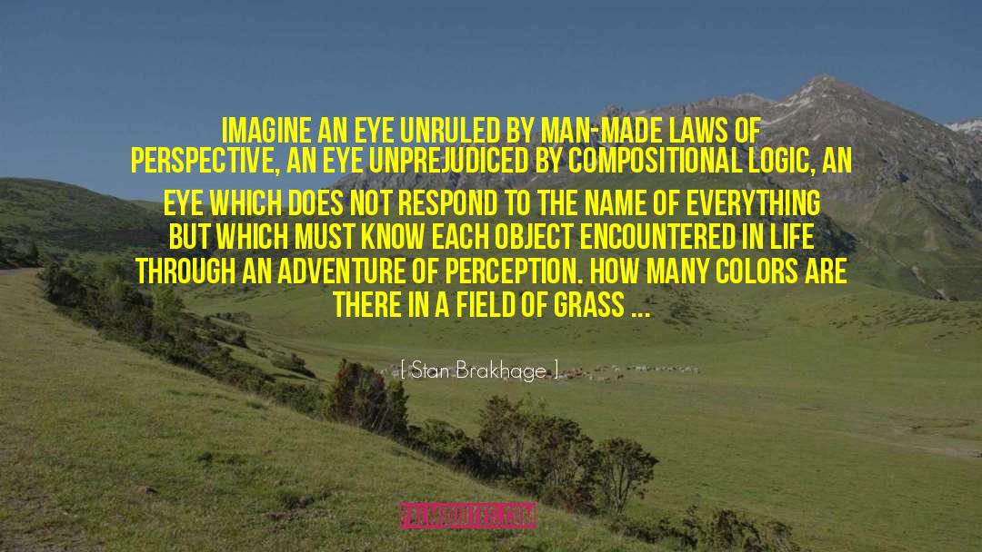 Stan Brakhage Quotes: Imagine an eye unruled by