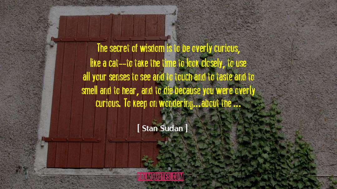 Stan Sudan Quotes: The secret of wisdom is