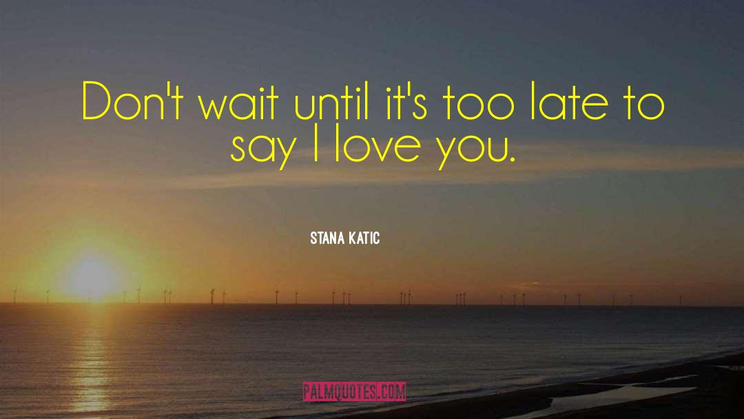 Stana Katic Quotes: Don't wait until it's too