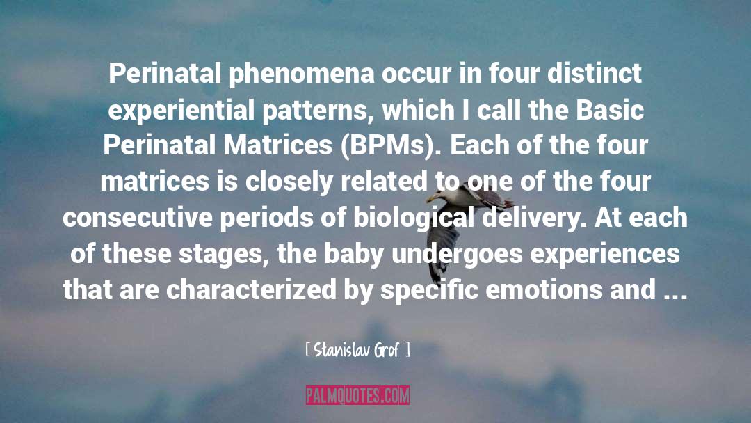 Stanislav Grof Quotes: Perinatal phenomena occur in four