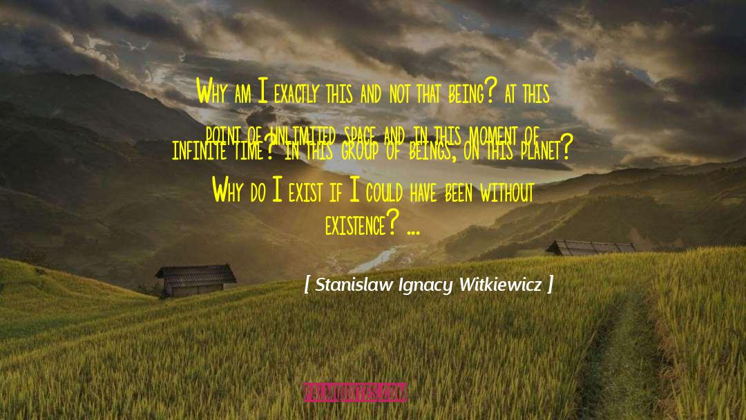 Stanislaw Ignacy Witkiewicz Quotes: Why am I exactly this