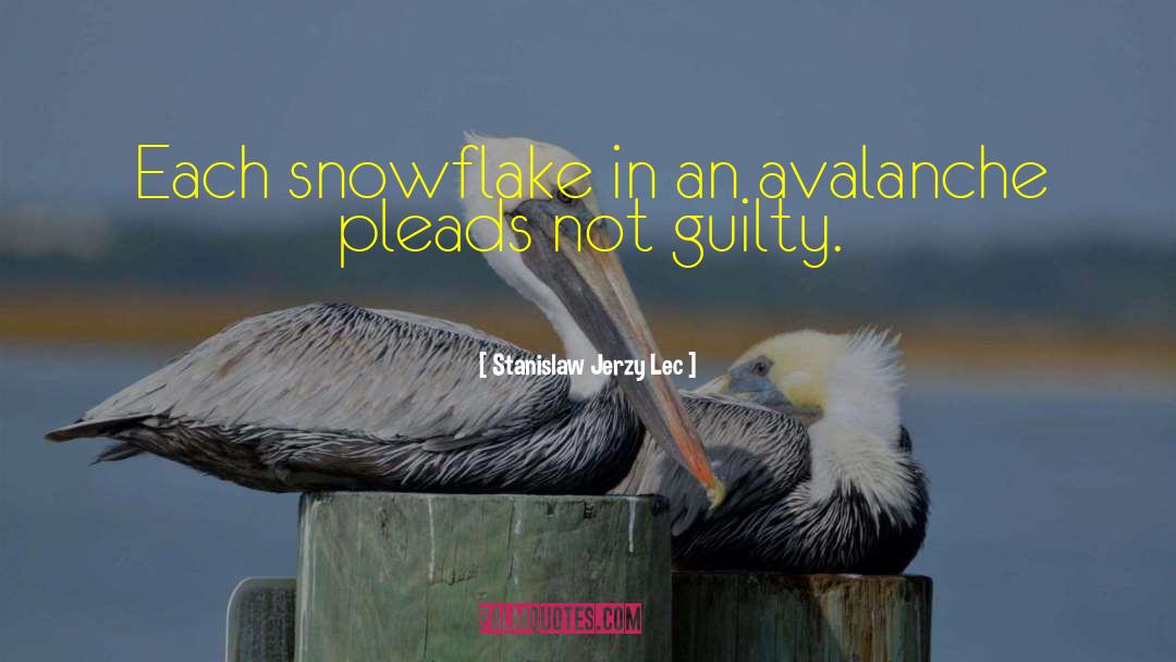 Stanislaw Jerzy Lec Quotes: Each snowflake in an avalanche