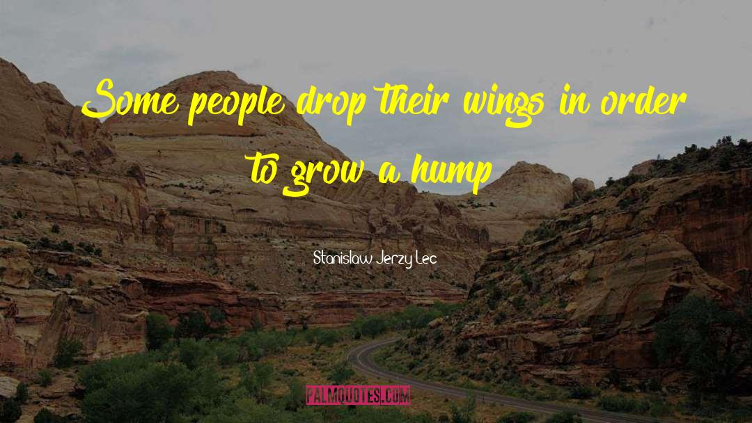 Stanislaw Jerzy Lec Quotes: Some people drop their wings