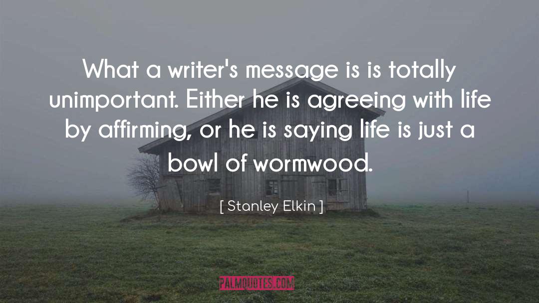 Stanley Elkin Quotes: What a writer's message is