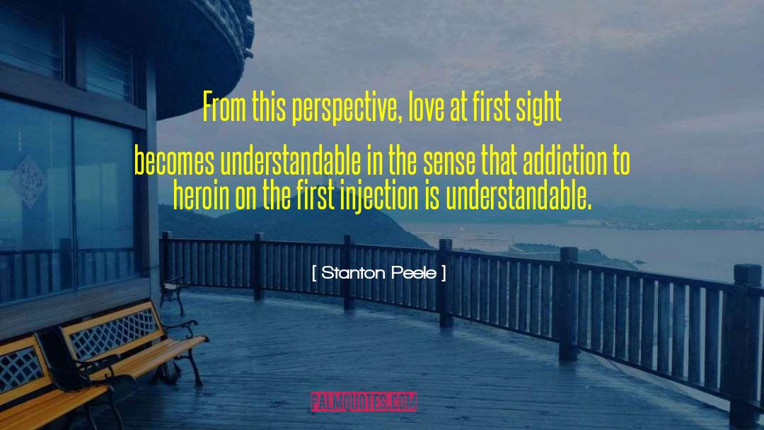 Stanton Peele Quotes: From this perspective, love at