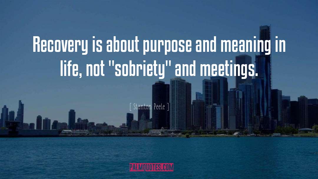 Stanton Peele Quotes: Recovery is about purpose and