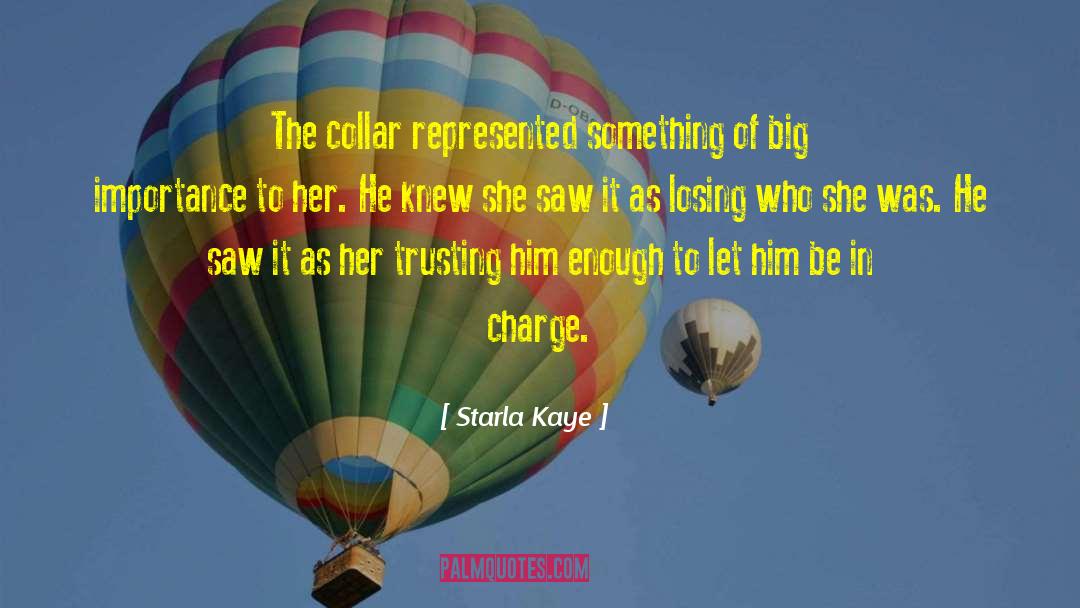 Starla Kaye Quotes: The collar represented something of