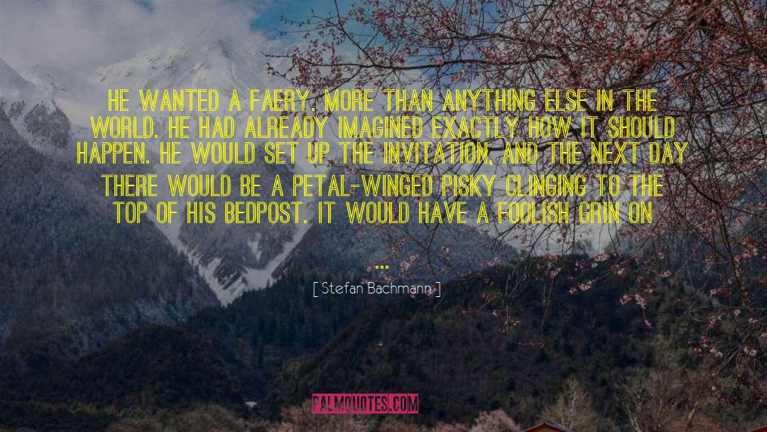 Stefan Bachmann Quotes: He wanted a faery. More