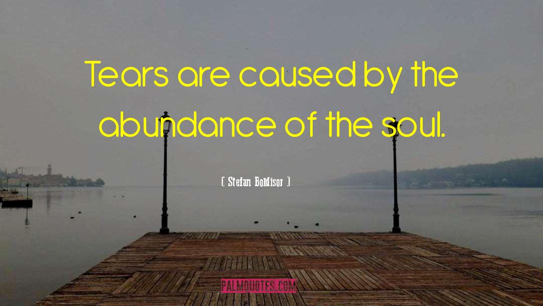 Stefan Boldisor Quotes: Tears are caused by the