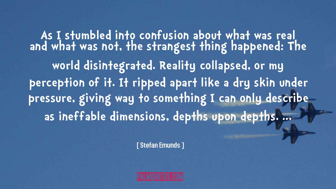 Stefan Emunds Quotes: As I stumbled into confusion
