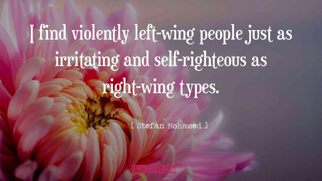 Stefan Mohamed Quotes: I find violently left-wing people