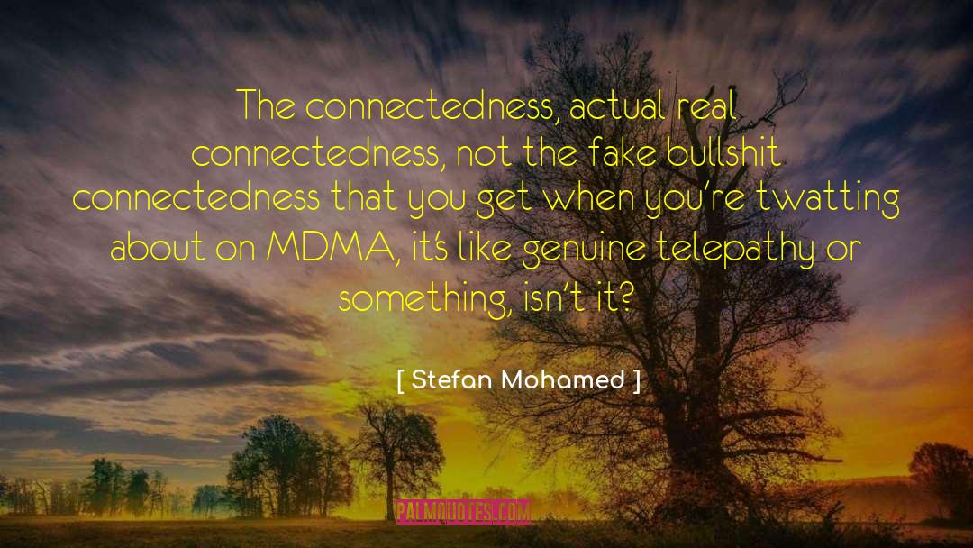 Stefan Mohamed Quotes: The connectedness, actual real connectedness,