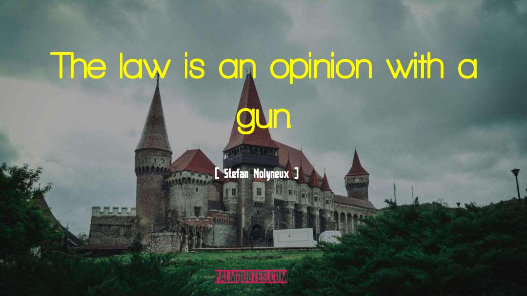 Stefan Molyneux Quotes: The law is an opinion