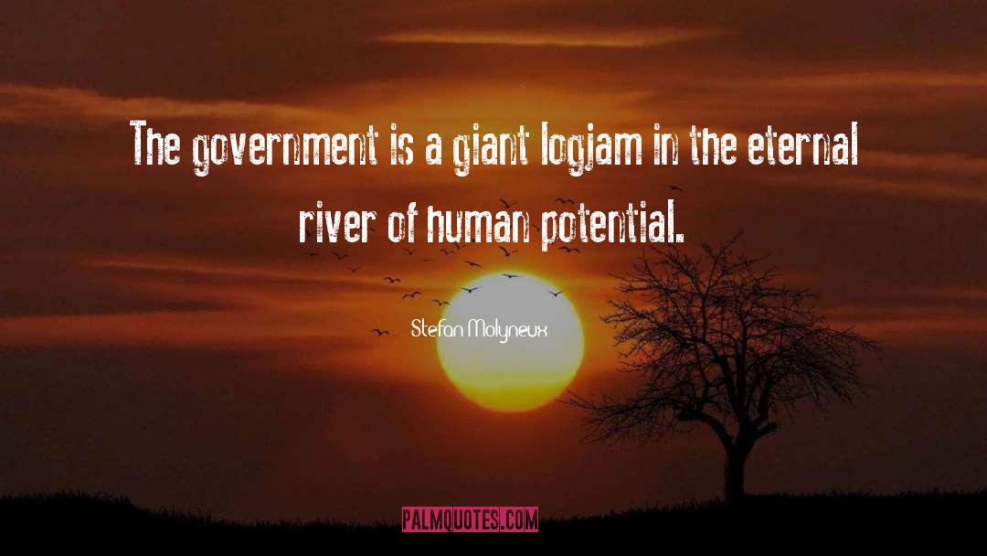 Stefan Molyneux Quotes: The government is a giant