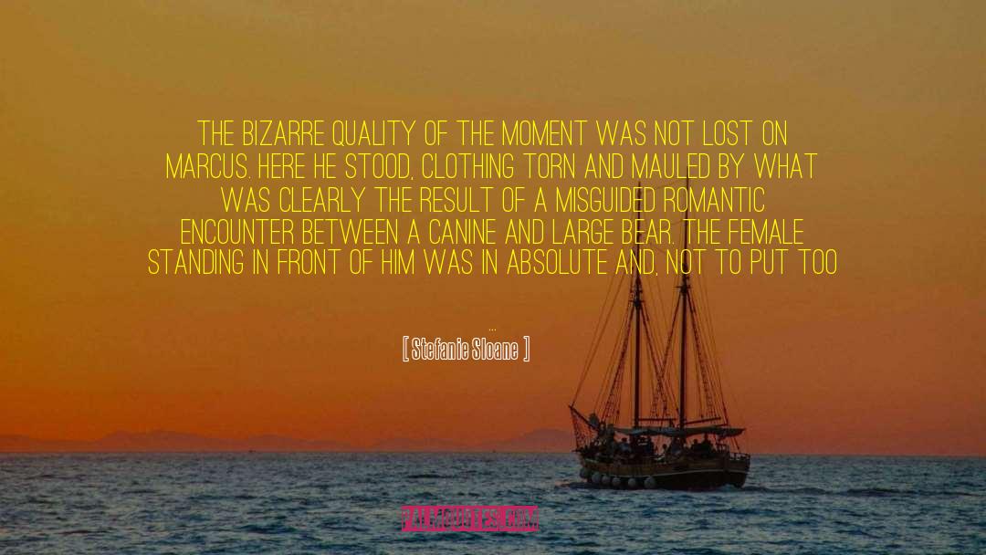 Stefanie Sloane Quotes: The bizarre quality of the