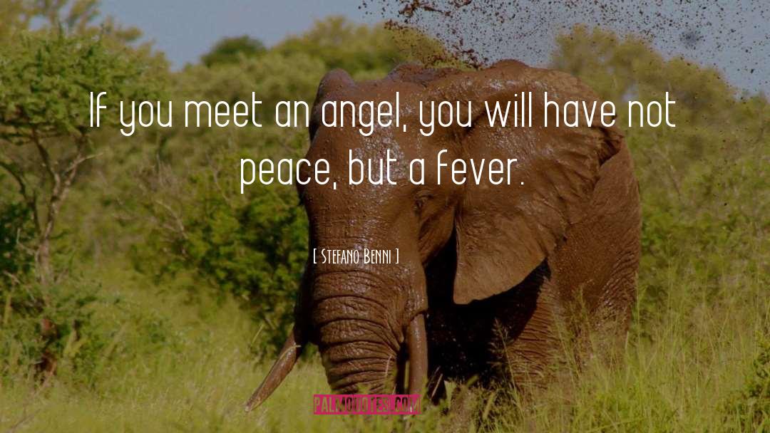 Stefano Benni Quotes: If you meet an angel,