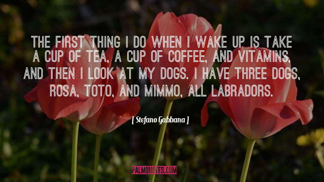 Stefano Gabbana Quotes: The first thing I do