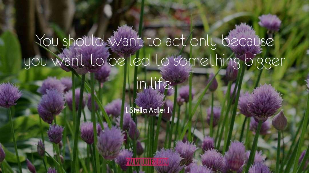 Stella Adler Quotes: You should want to act