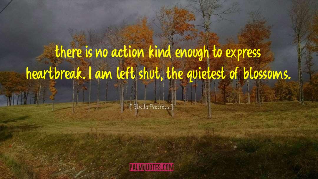 Stella Padnos Quotes: there is no action kind