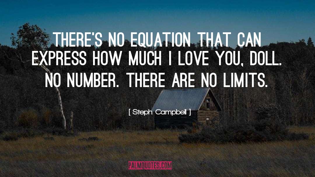 Steph Campbell Quotes: There's no equation that can