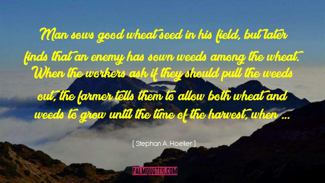 Stephan A. Hoeller Quotes: Man sows good wheat seed