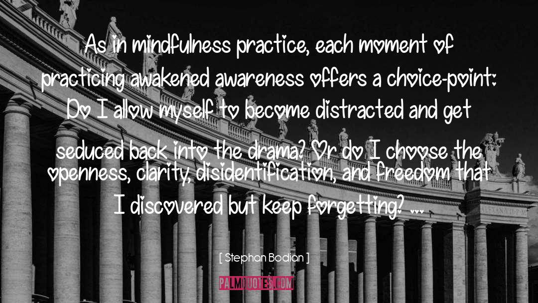 Stephan Bodian Quotes: As in mindfulness practice, each