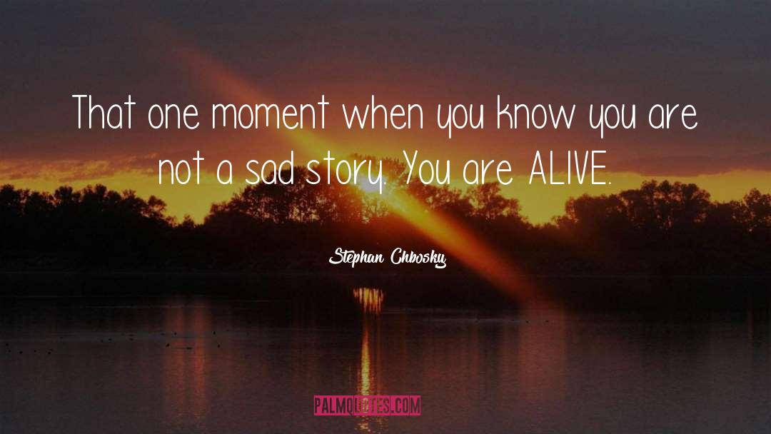 Stephan Chbosky Quotes: That one moment when you