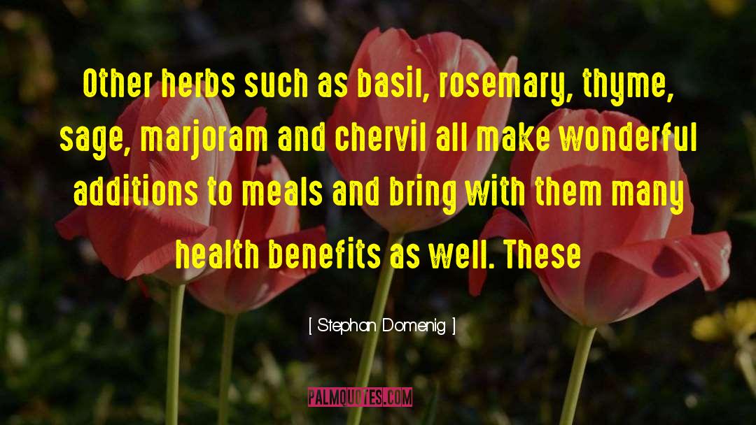 Stephan Domenig Quotes: Other herbs such as basil,