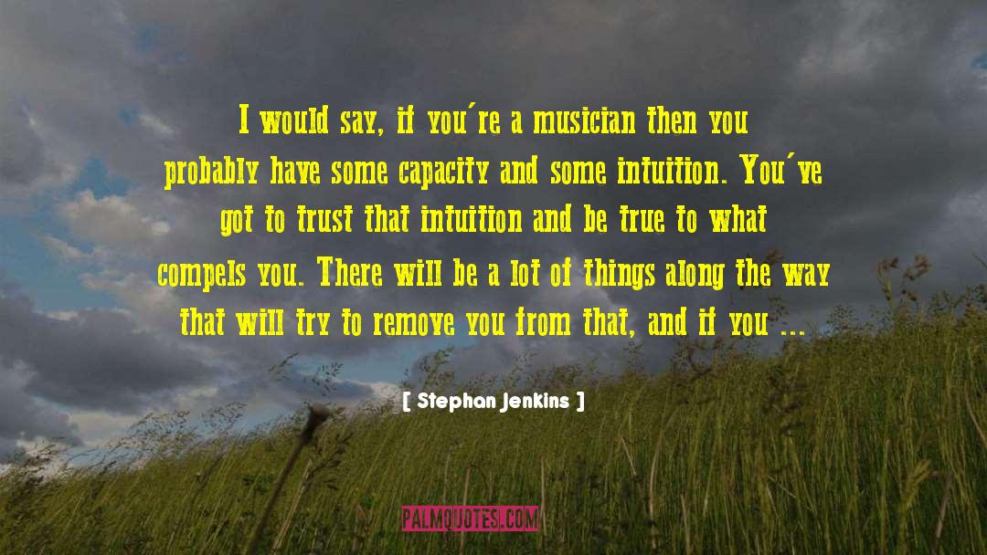 Stephan Jenkins Quotes: I would say, if you're