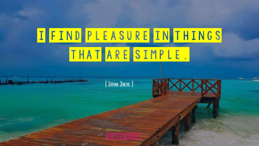 Stephan Jenkins Quotes: I find pleasure in things