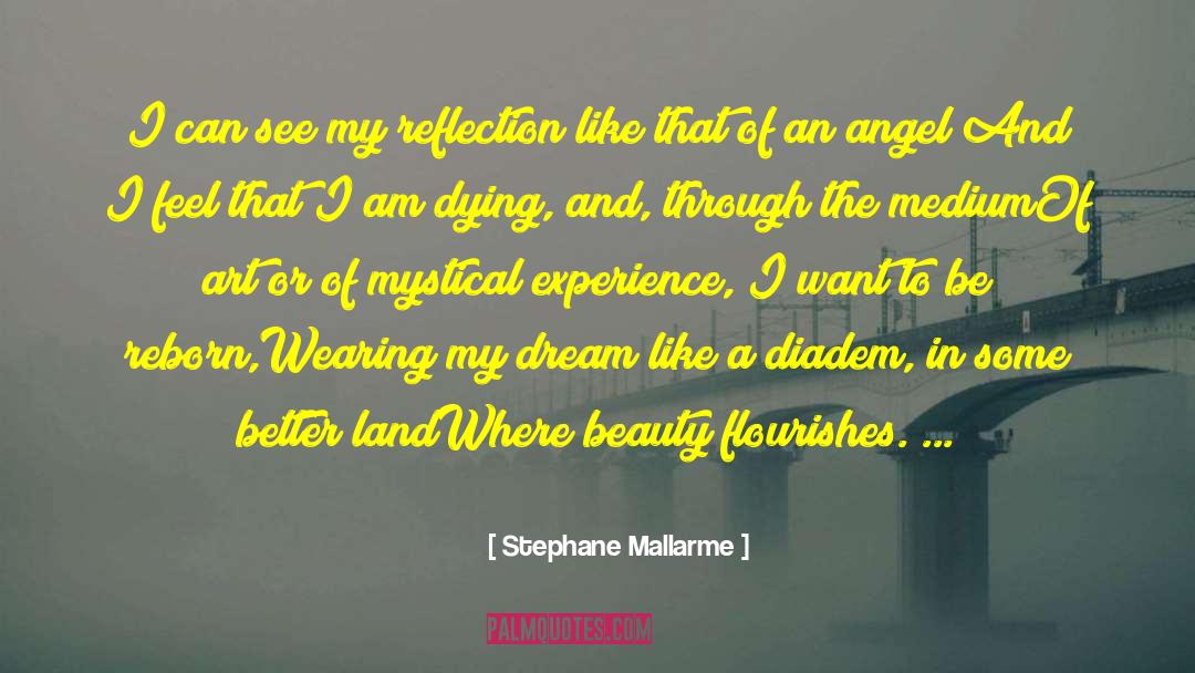 Stephane Mallarme Quotes: I can see my reflection