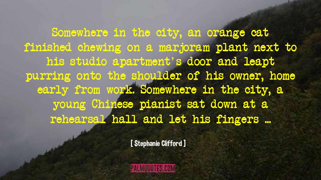 Stephanie Clifford Quotes: Somewhere in the city, an