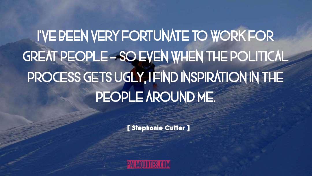Stephanie Cutter Quotes: I've been very fortunate to