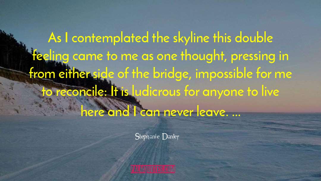 Stephanie Danler Quotes: As I contemplated the skyline