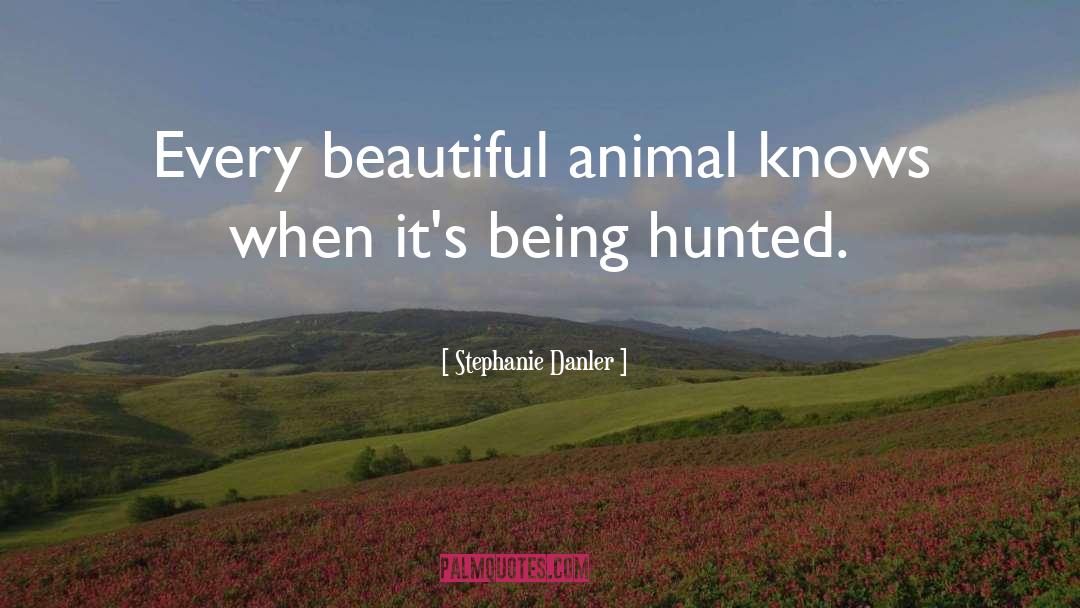 Stephanie Danler Quotes: Every beautiful animal knows when