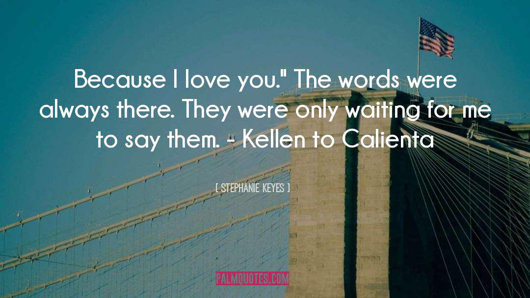 Stephanie Keyes Quotes: Because I love you.