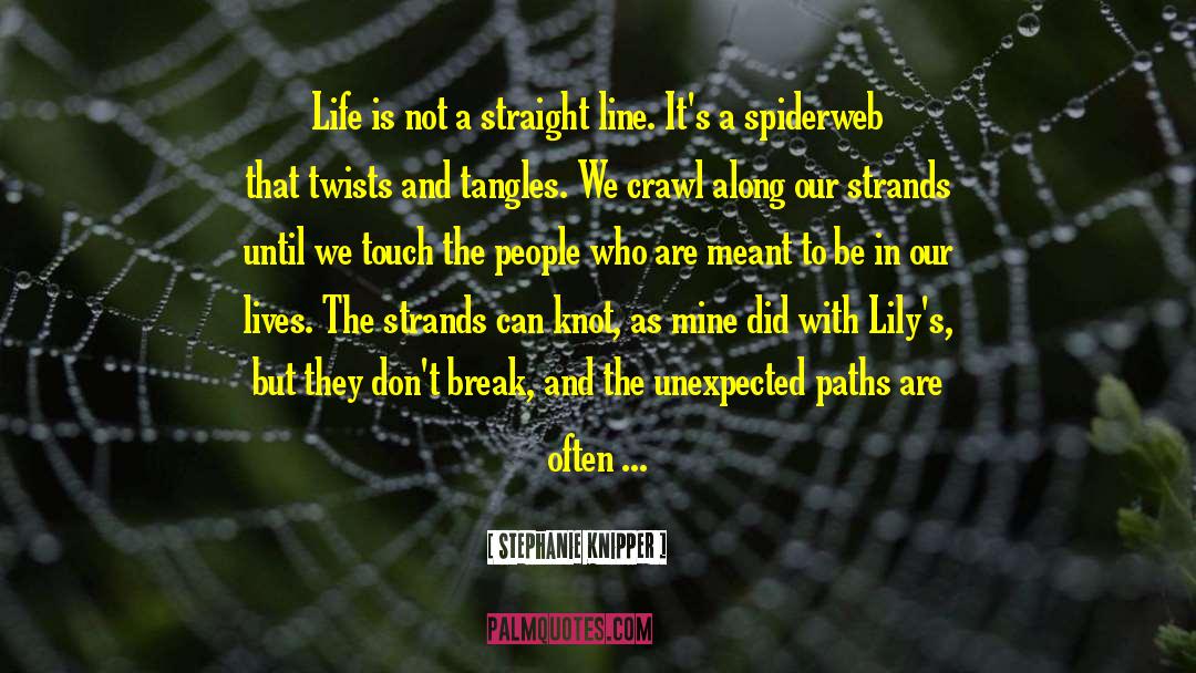 Stephanie Knipper Quotes: Life is not a straight