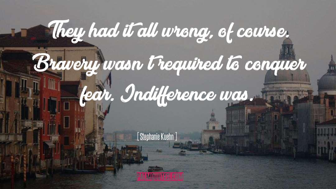 Stephanie Kuehn Quotes: They had it all wrong,