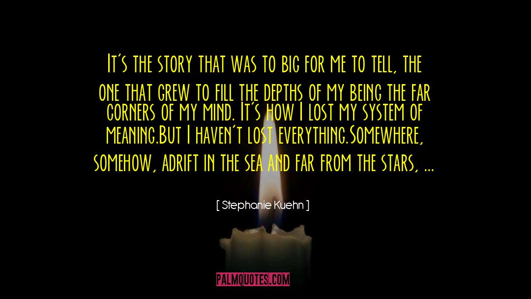 Stephanie Kuehn Quotes: It's the story that was