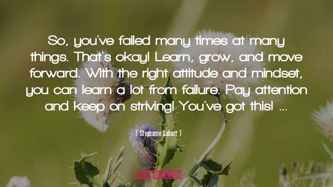 Stephanie Lahart Quotes: So, you've failed many times
