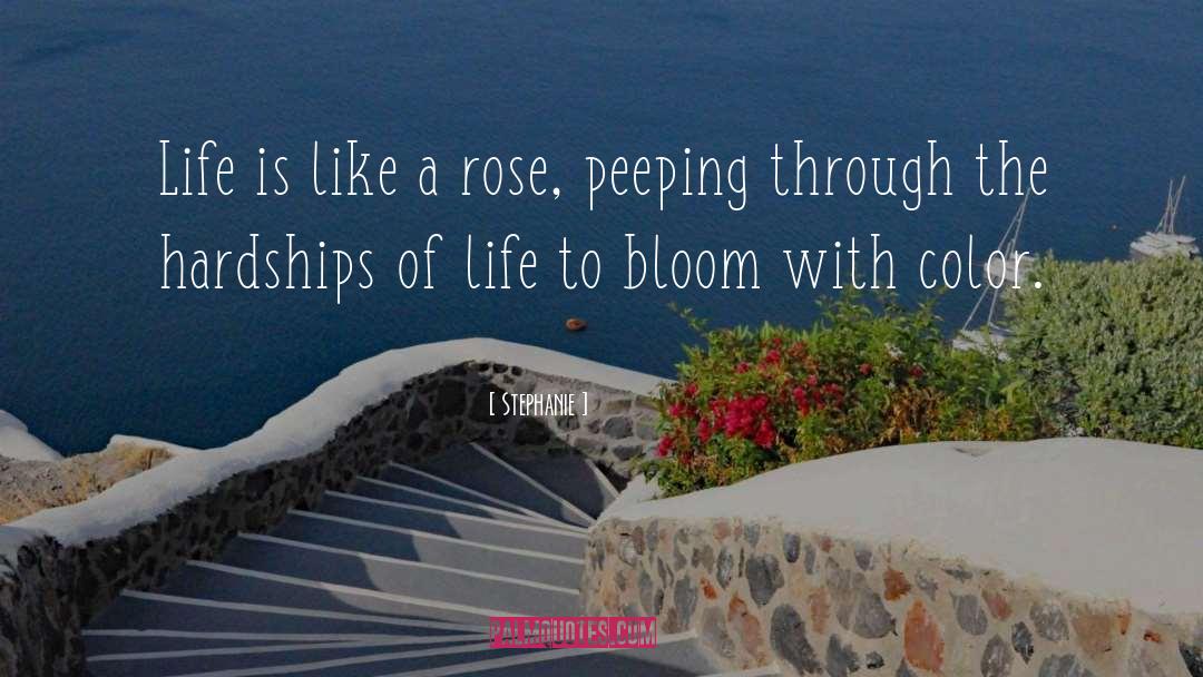 Stephanie Quotes: Life is like a rose,