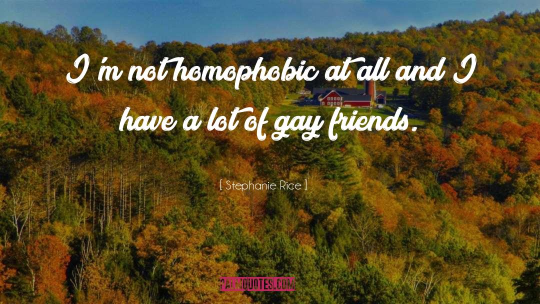 Stephanie Rice Quotes: I'm not homophobic at all