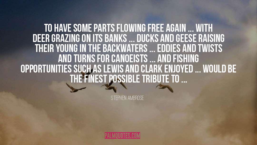 Stephen Ambrose Quotes: To have some parts flowing